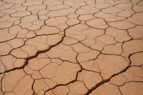 Patterns in a cracked desert soil