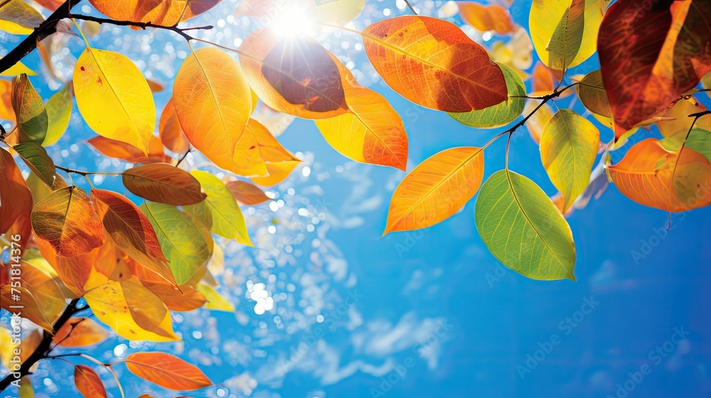 seasonal bright leaves background seasonal bright leaves background