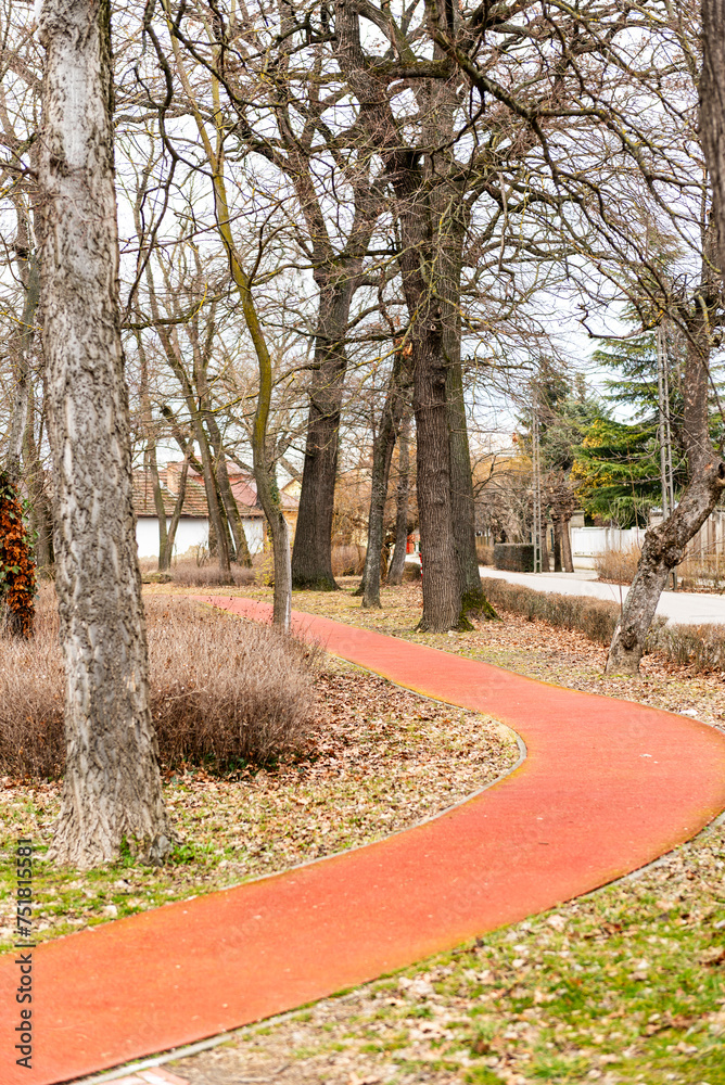 a red running track in the park.