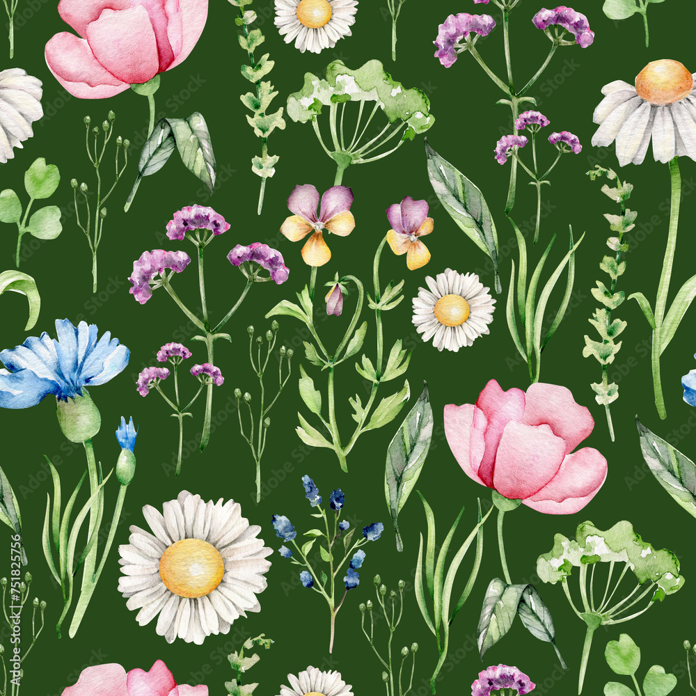 Watercolor wildflower seamless pattern.Field flowers.Meadow.Herbal print.Summer ornament