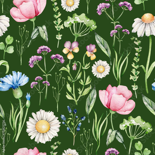Watercolor wildflower seamless pattern.Field flowers.Meadow.Herbal print.Summer ornament