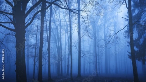 Misty forest at dawn  ethereal and tranquil