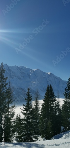Paysage enneigé en station de ski 