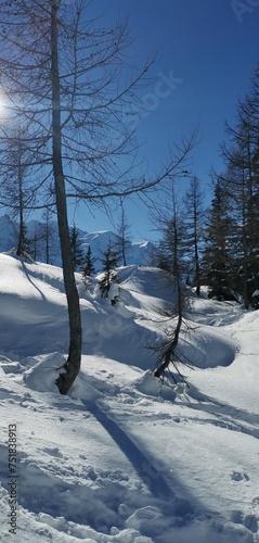Paysage enneigé en station de ski 