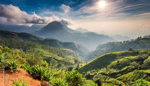 scenic landscape of the munnar mountain view of southern western ghats of india in kerala