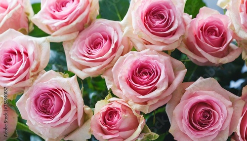 background of pretty pink roses
