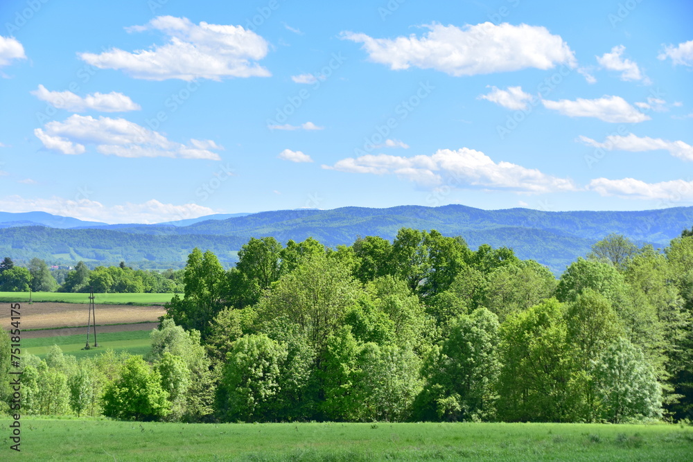 Pasmo górskie, Pogórze Śląskie, Beskid Mały, przyroda, Małopolska, Polska, Europa,