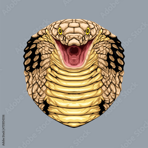Detailed vector of cobra snake with opened mouth isolated on blank background