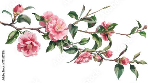 blooming Camellia twigs camellia flower