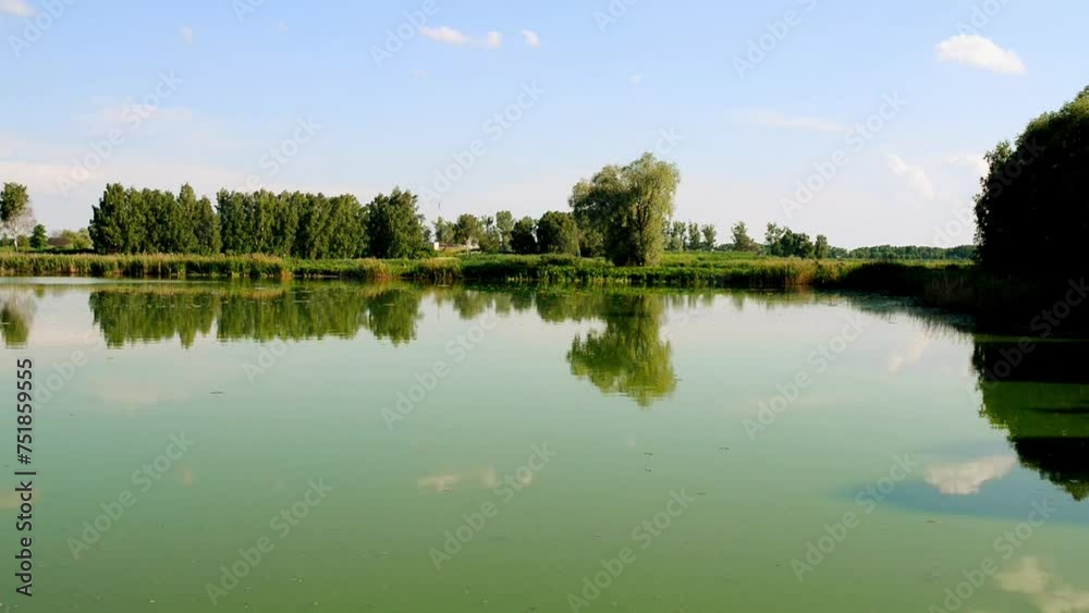 Beautiful overgrown lake with reeds and green trees. Beautiful overgrown lake with reeds and green trees.