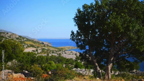 Croatian coast on Adriatic Sea