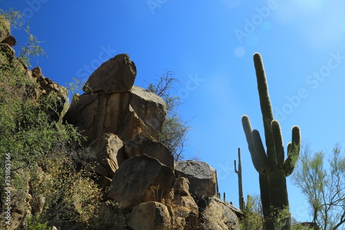 Desert scene in southwest USA
