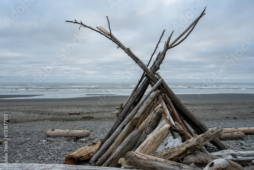 Driftwood Structure Along the Coast of Kaloloch Beach © kellyvandellen
