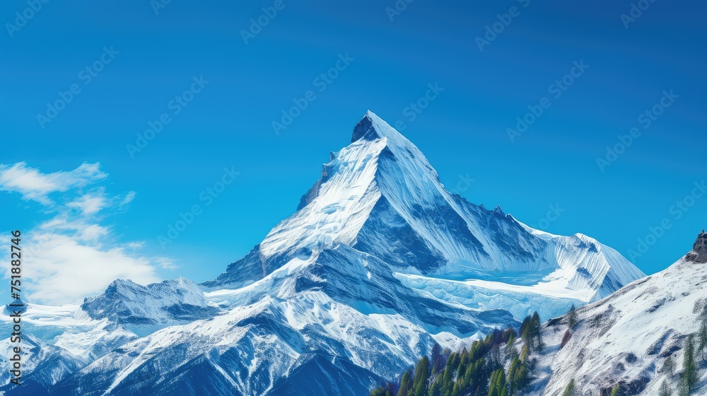 cold white landscape background cold white landscape background