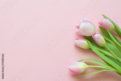 Fototapeta Naklejka Na Ścianę i Meble -  Bouquet of pink spring tulips and place for text for Mother's Day or Women on a pink background. Top view flat style.