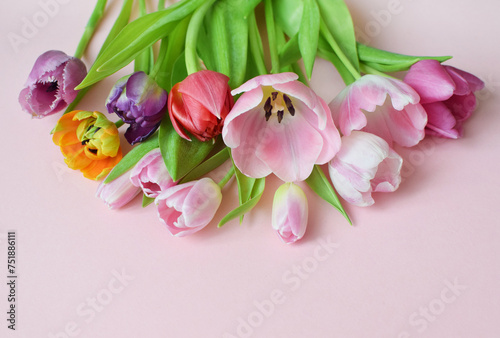 Bouquet of colorful spring tulips and place for text for Mother s Day or Women s Day on a pink background. Top view in flat style.