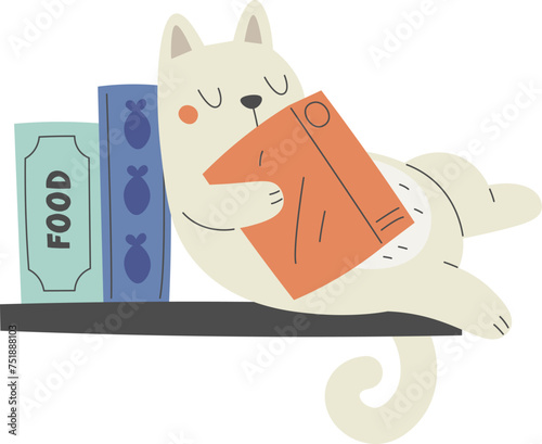 Cat Sleeping On Book Shelf