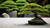 peaceful japan zen background