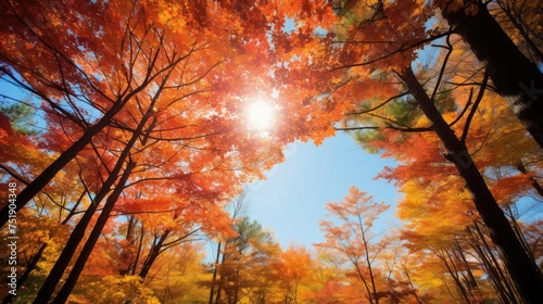 field bright landscape background