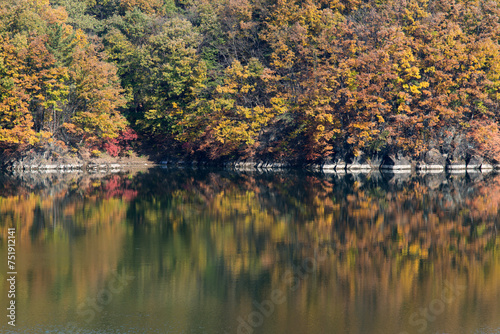 Reflection of autumn forest on the lake