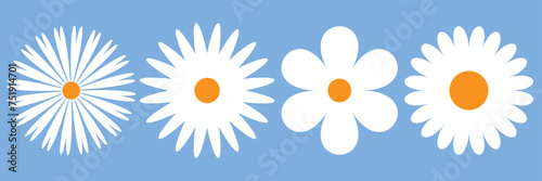 4 white daisy flower isolated on white background. Flat lay, top view. Floral pattern, object . Daisy flower vector