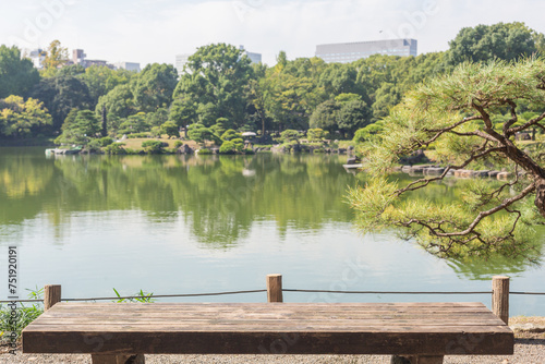 Wallpaper Mural empty bench in front of the calm pond in kiyosumi japanese park in tokyo Torontodigital.ca