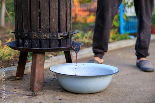 Homemade Fer grape juice for wine production flows from a press into a basin. Background photo