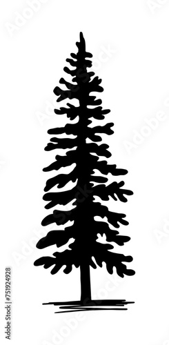 Pine Tree, tree silhouette vector illustration hand drawn