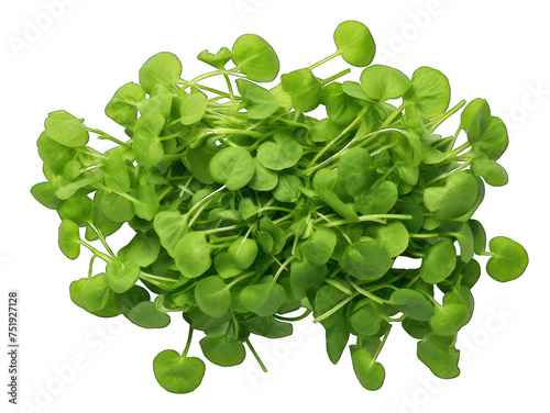 Watercress isolated on transparent background, transparency image, removed background