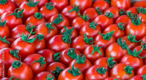 Tomato fruits close up © Alla 