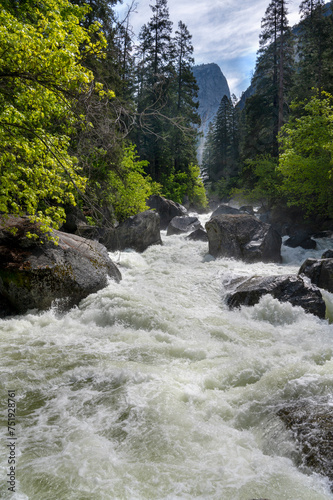 Yosemite national park  California USA. River on summer of 2023