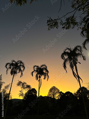 Sunset background with palm trees and colorful sky. Medellin, Antioquia, Colombia