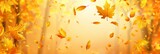 Autumn orange banner with blurred maple leaves background for seasonal marketing campaigns