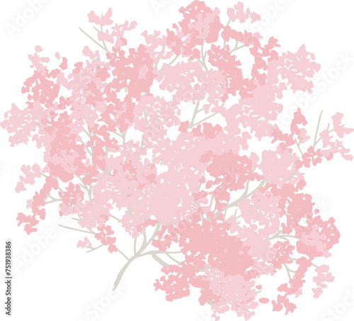                                                                                           Cherry Blossom Clipart. Cherry blossoms in full bloom and falling petals. Row of cherry blossom trees. Spring flower viewing.
