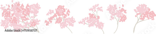 桜の花イラスト。満開の桜の花と散る花びら。桜並木。春の花見。Cherry Blossom Clipart. Cherry blossoms in full bloom and falling petals. Row of cherry blossom trees. Spring flower viewing.