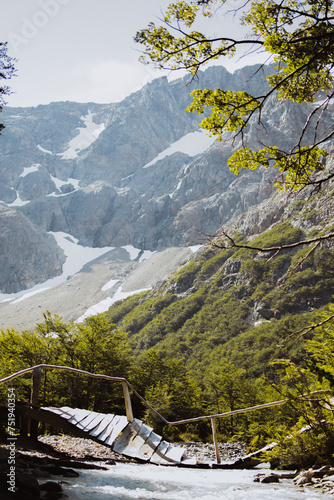 Explora la majestuosidad de las montañas de la Patagonia Argentina, donde la roca se encuentra con el verde exuberante de la vegetación. Una vista impresionante en armonía con la naturaleza