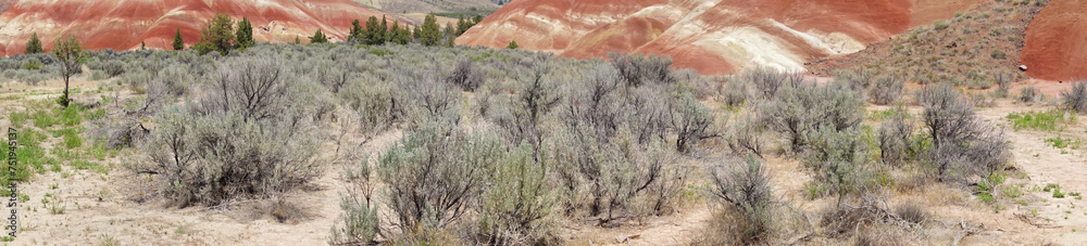 Striated red and brown paleosols in the Painted Hills - obrazy, fototapety, plakaty 