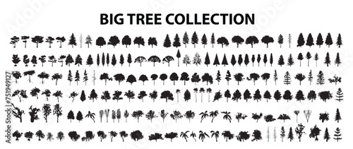 Tree collection Vector illustration.