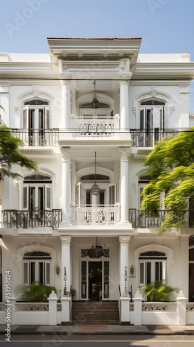 A Grand Display of Historic Colonial Architecture Under a Clear Blue Sky © Beulah