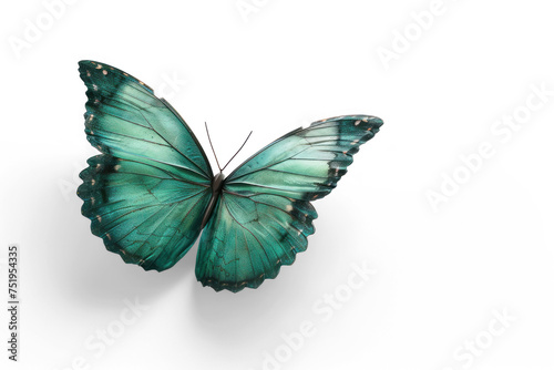 3d urquoise butterfly flying on transparency background PNG 
