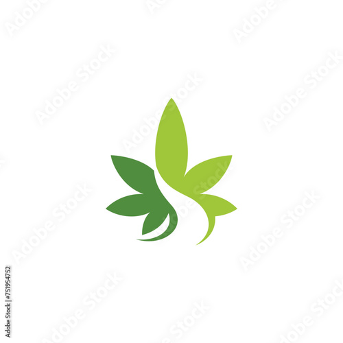 combining cannabis leaves and roads into one unique and interesting concept