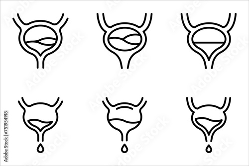 Human bladder line icon set. linear style sign for mobile concept and web design. Bladder internal organ outline vector illustration on white background