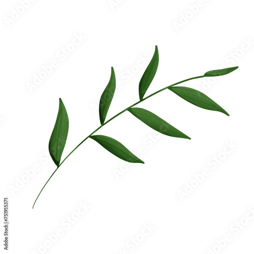 Bamboo leaves 