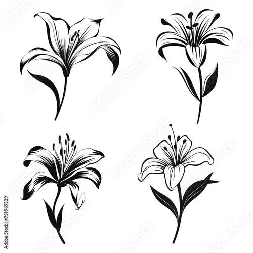 Lily flower black Silhouette vector