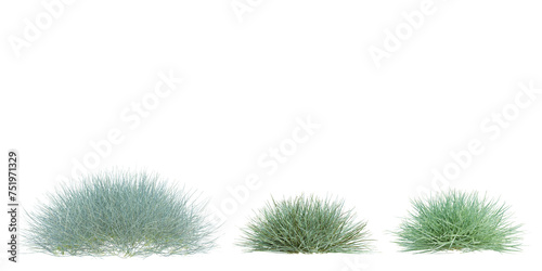 3d Render Brush Tree Isolated  on white