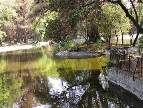 lake in the park, lago en el parque