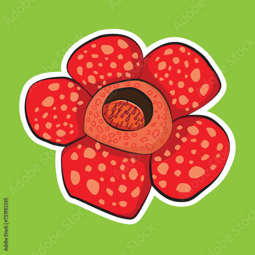 Biggest flower Rafflesia  