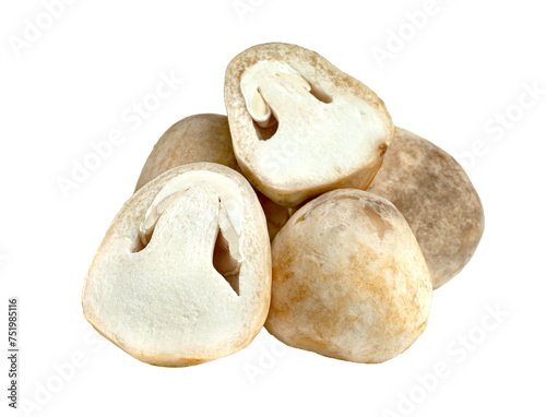 Straw mushroom isolated