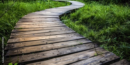 wooden path on green grass