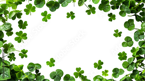 clover leaves are scattered in the form of a frame isolated on transparent background